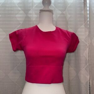 Aerie Fuchsia Crop Top